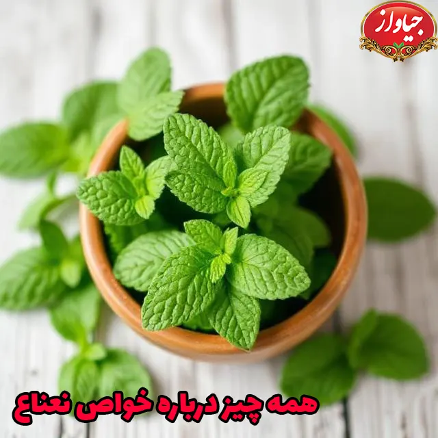 همه چیز درباره خواص نعناع، درمان طبیعی برای گوارش، سرماخوردگی، درد قاعدگی و فشار خون